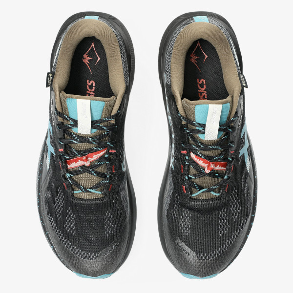 Asics Trabuco 14 GTX 