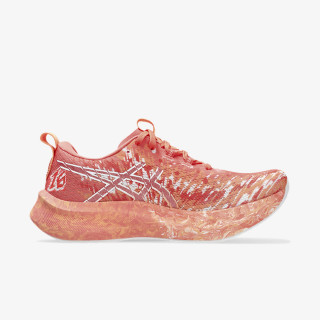 Asics NOOSA TRI 16 