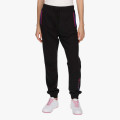 Champion 115626 