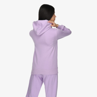 Champion 116065 