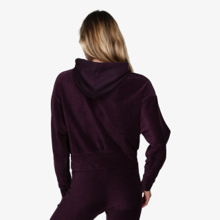 Champion 117333 