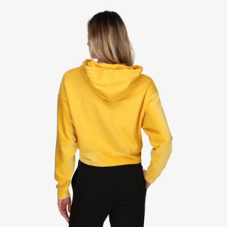 Champion 117334 