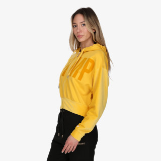 Champion 117334 