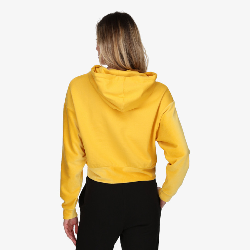 Champion 117334 