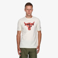 Under Armour UA PJT ROCK BRAHMA BULL SS 