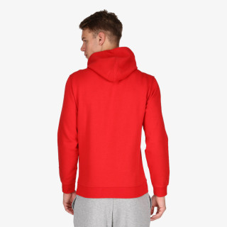Champion HOODED
