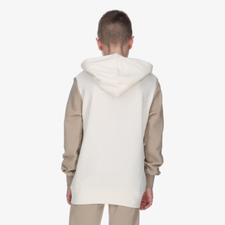Champion Hooded Sweatshirt 