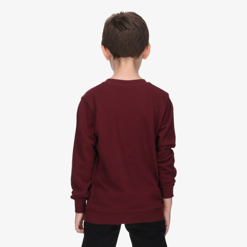 Champion SKATE LIFE CREWNECK 