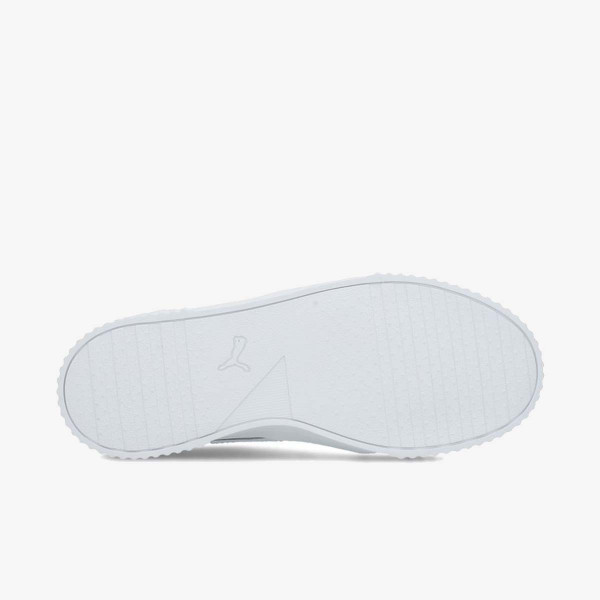 Puma Carina 