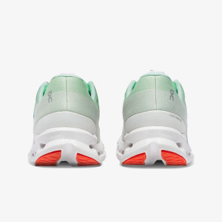 On Cloudsurfer 