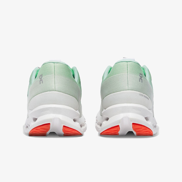 On Cloudsurfer 