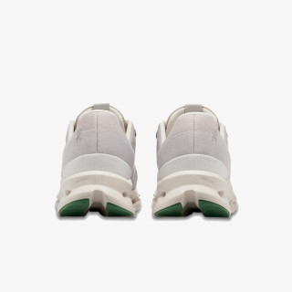 On Cloudsurfer 