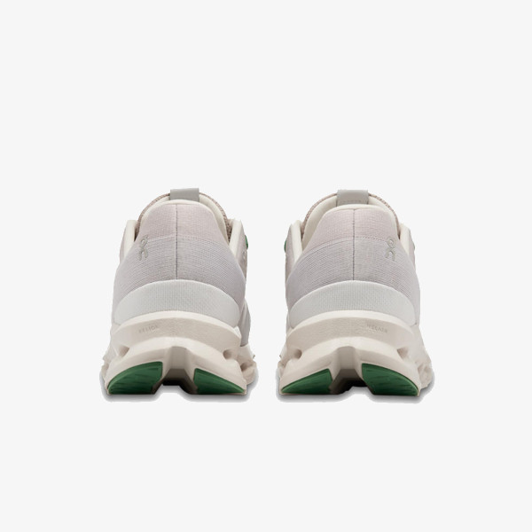 On Cloudsurfer 