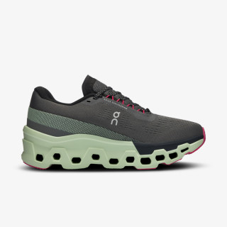 On Cloudmonster 2 