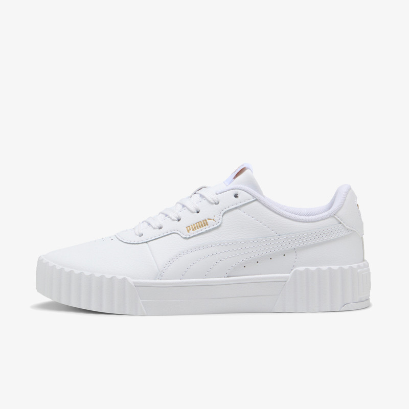 Puma Carina 3.0 