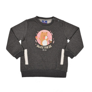 Champion SET 