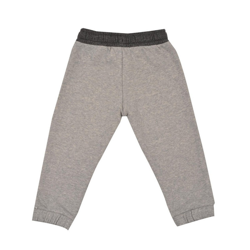 Champion SET 