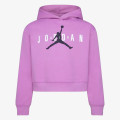 Nike JDG JUMPMAN SUSTAINABLE PO 