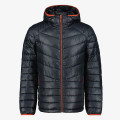 Icepeak DOWNLOOK 