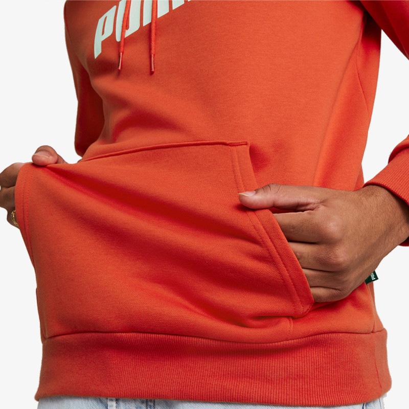 Puma PUMA ESS BIG LOGO HOODIE FL (S) 