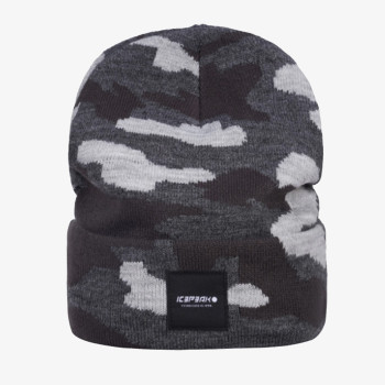 Icepeak Icepeak 
