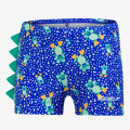 Speedo ALOV ASHT IM BLUE/GREEN 