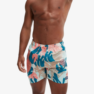 Speedo PRT/CHK LEIS 16