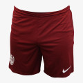Nike M NK FLX SHORT VENT MAX 2.0 
