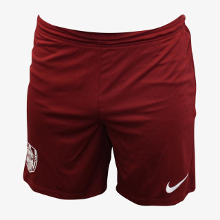 Nike M NK FLX SHORT VENT MAX 2.0 