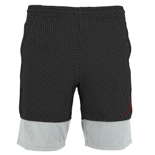 JORDAN JDB AJ 90'S D2 MESH SHORT 