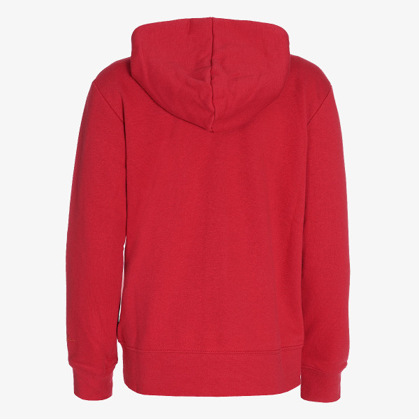 Nike Jordan Essentials 