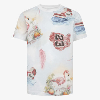 JORDAN Flamingo 