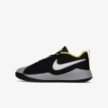 Nike TEAM HUSTLE QUICK 2 GS 