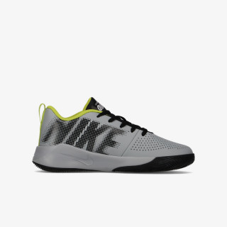 Nike TEAM HUSTLE QUICK 2 GS 