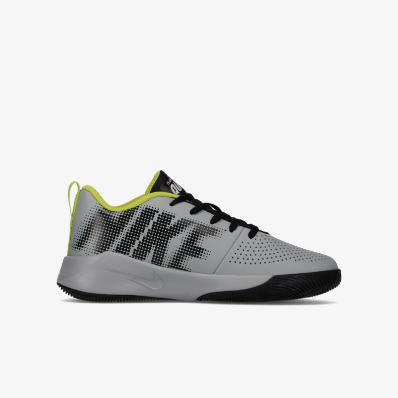 Nike TEAM HUSTLE QUICK 2 GS 