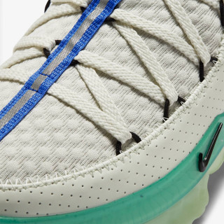 Nike LEBRON XVII LOW 