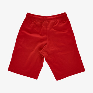 Champion BASIC 