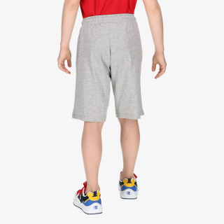 Champion BASIC 