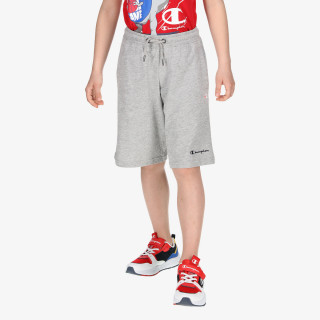 Champion BASIC 