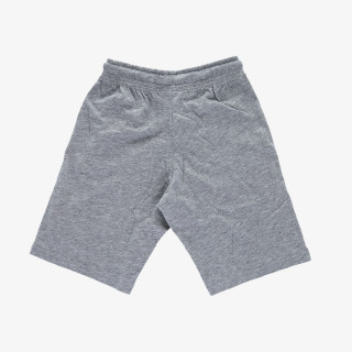 Champion BASIC 