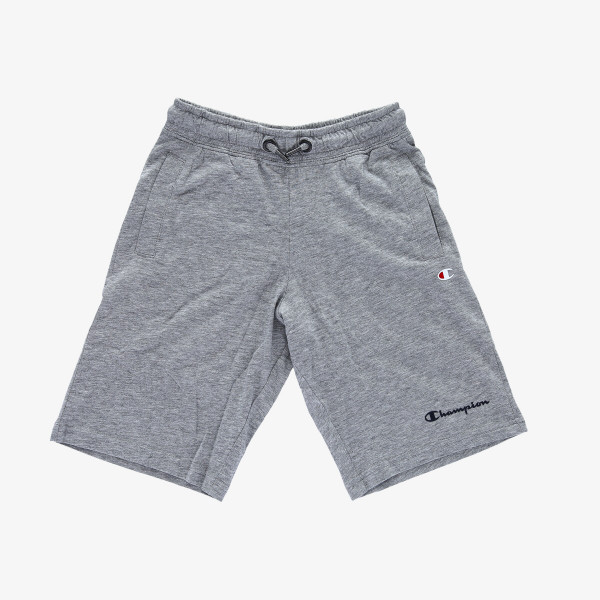 Champion BASIC 