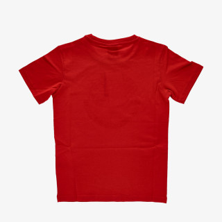 Champion BIG LOGO 