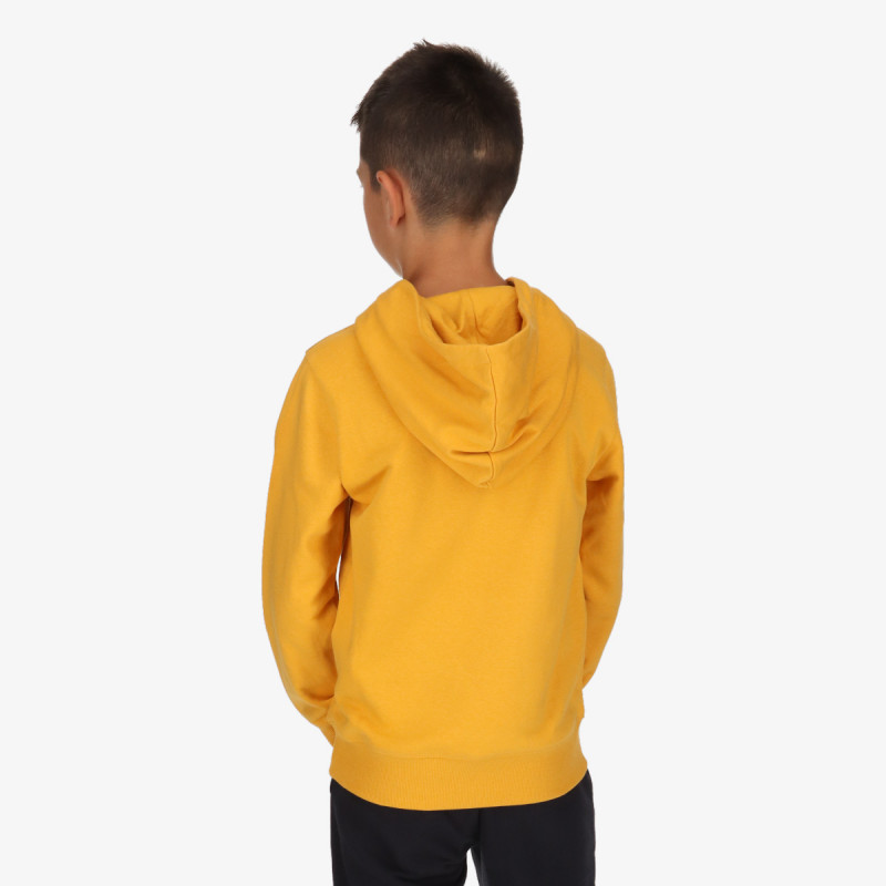 Champion CHA223B601 