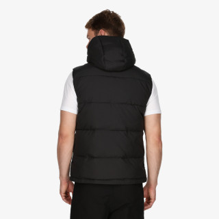 Champion CHA233M500 