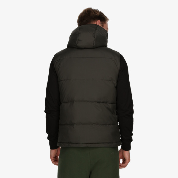 Champion CHA233M500 
