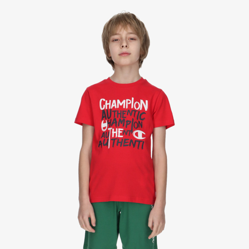Champion CHA241B800 