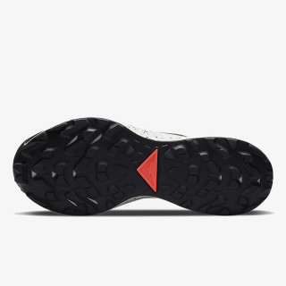 Nike NIKE PEGASUS TRAIL 2 