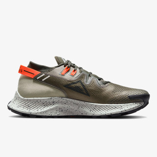 Nike NIKE PEGASUS TRAIL 2 