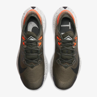 Nike NIKE PEGASUS TRAIL 2 