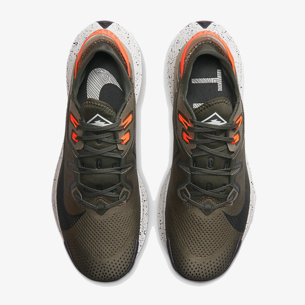 Nike NIKE PEGASUS TRAIL 2 